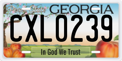 GA license plate CXL0239