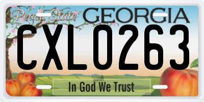 GA license plate CXL0263