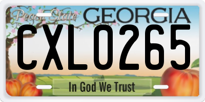 GA license plate CXL0265