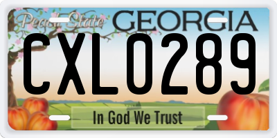 GA license plate CXL0289