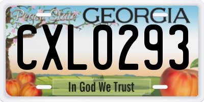 GA license plate CXL0293