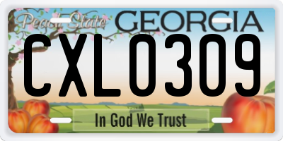 GA license plate CXL0309