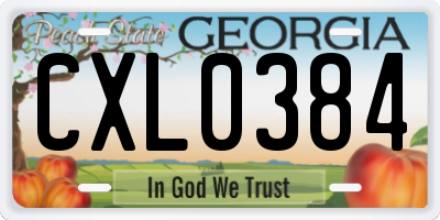 GA license plate CXL0384