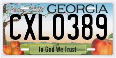 GA license plate CXL0389