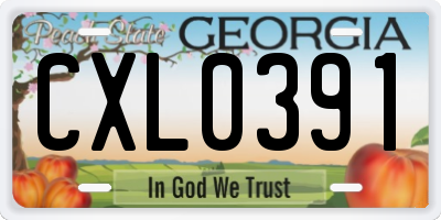GA license plate CXL0391