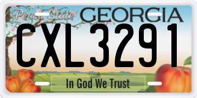 GA license plate CXL3291