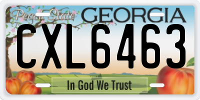 GA license plate CXL6463