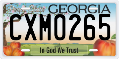 GA license plate CXM0265