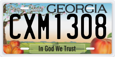 GA license plate CXM1308