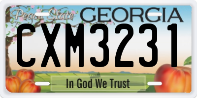 GA license plate CXM3231