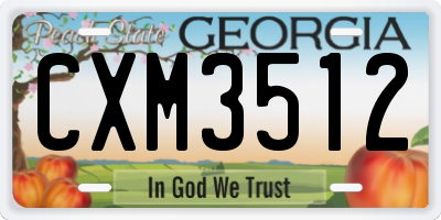 GA license plate CXM3512