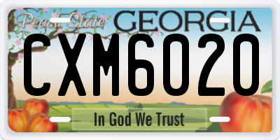 GA license plate CXM6020