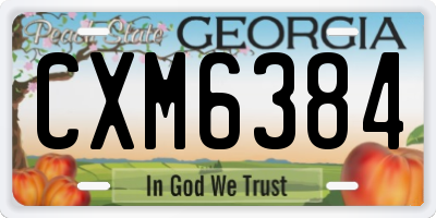 GA license plate CXM6384