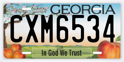 GA license plate CXM6534