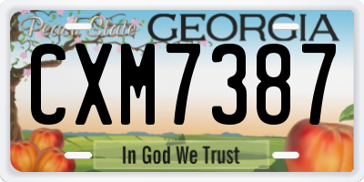 GA license plate CXM7387
