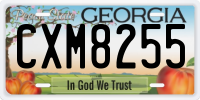 GA license plate CXM8255