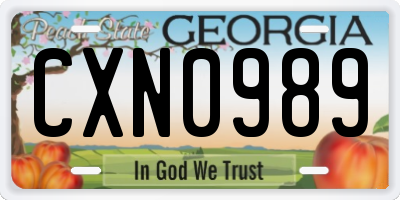 GA license plate CXN0989