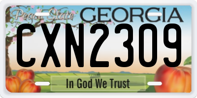 GA license plate CXN2309