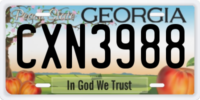 GA license plate CXN3988