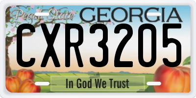 GA license plate CXR3205