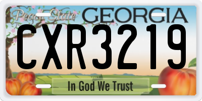 GA license plate CXR3219