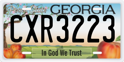 GA license plate CXR3223