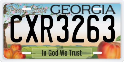 GA license plate CXR3263