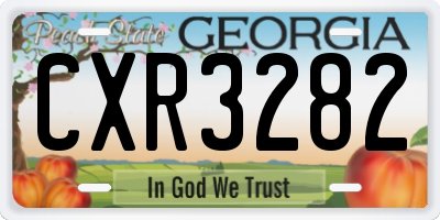 GA license plate CXR3282