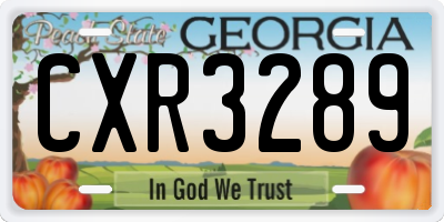 GA license plate CXR3289