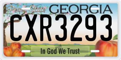 GA license plate CXR3293