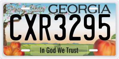 GA license plate CXR3295