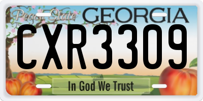 GA license plate CXR3309
