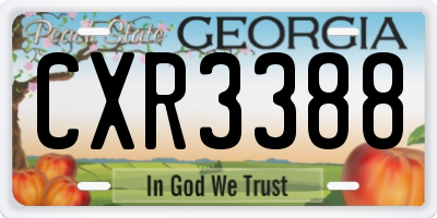 GA license plate CXR3388