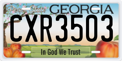 GA license plate CXR3503