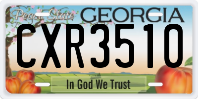 GA license plate CXR3510
