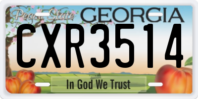 GA license plate CXR3514