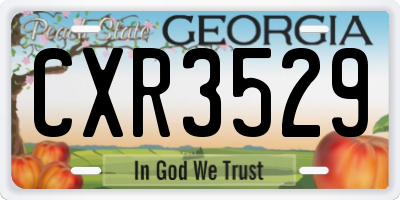 GA license plate CXR3529