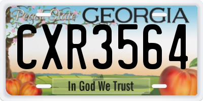 GA license plate CXR3564