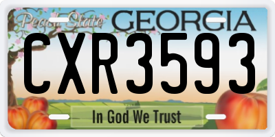 GA license plate CXR3593
