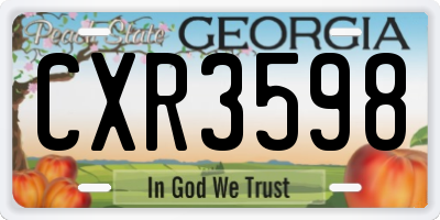 GA license plate CXR3598