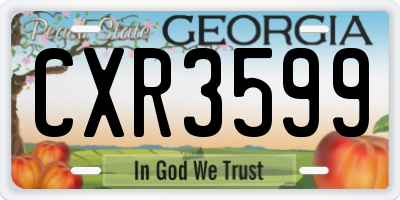 GA license plate CXR3599