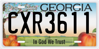 GA license plate CXR3611