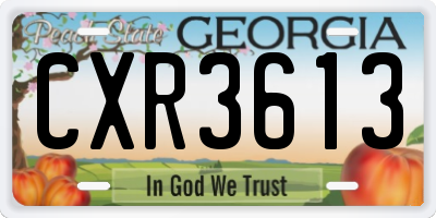 GA license plate CXR3613