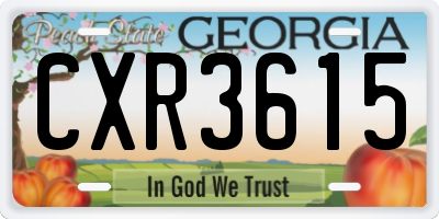 GA license plate CXR3615