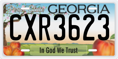 GA license plate CXR3623