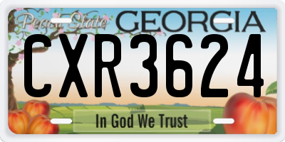 GA license plate CXR3624