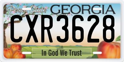 GA license plate CXR3628