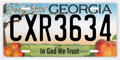 GA license plate CXR3634
