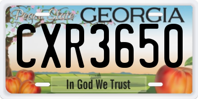 GA license plate CXR3650