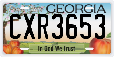 GA license plate CXR3653